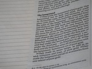 איילון אוריאל על תפקיד המומחה הכלכלי